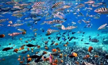nusa penida tour