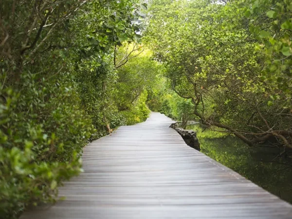 nusa lembongan holiday